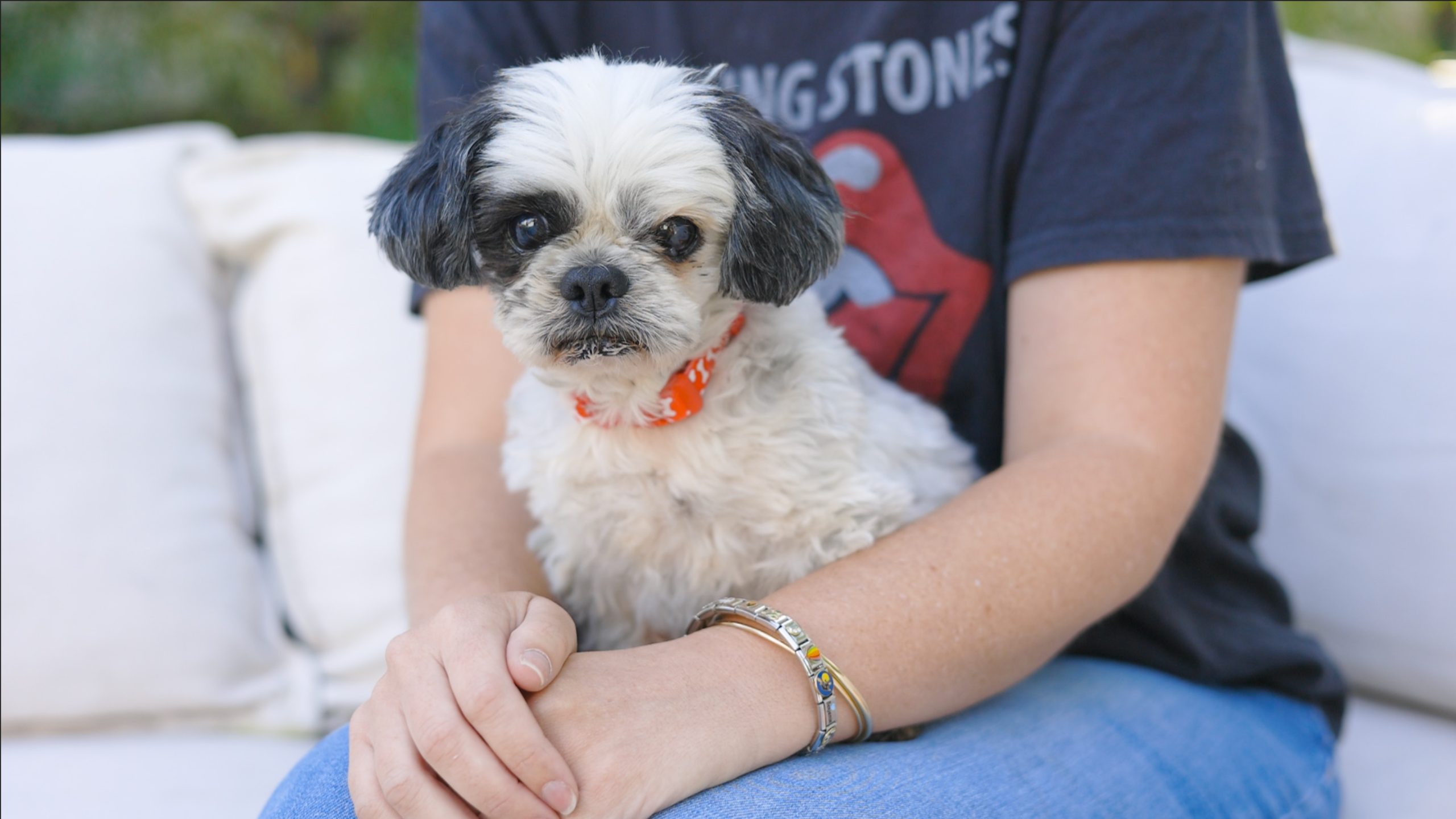 Moe sitting on fosters' lap