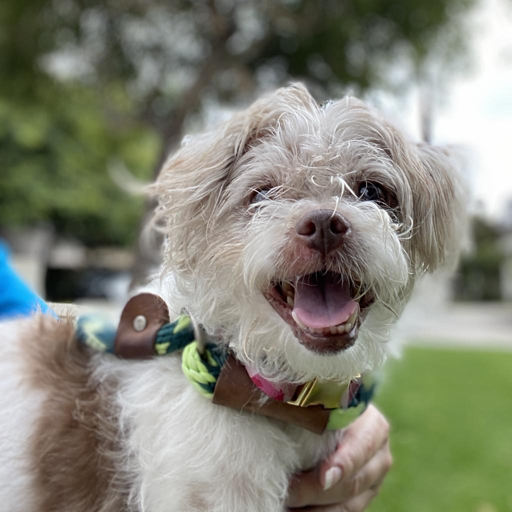 Muñeca smiling at the camera