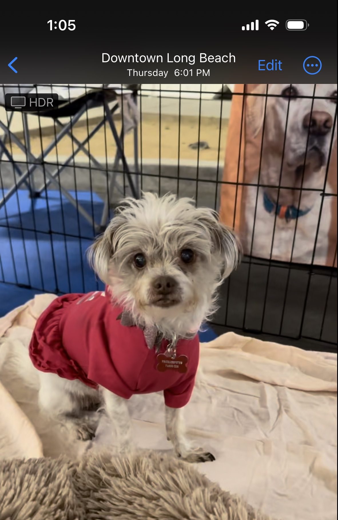 Muñeca wearing a red shirt