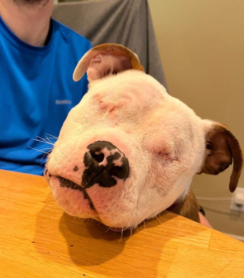 Lara resting her face on the table