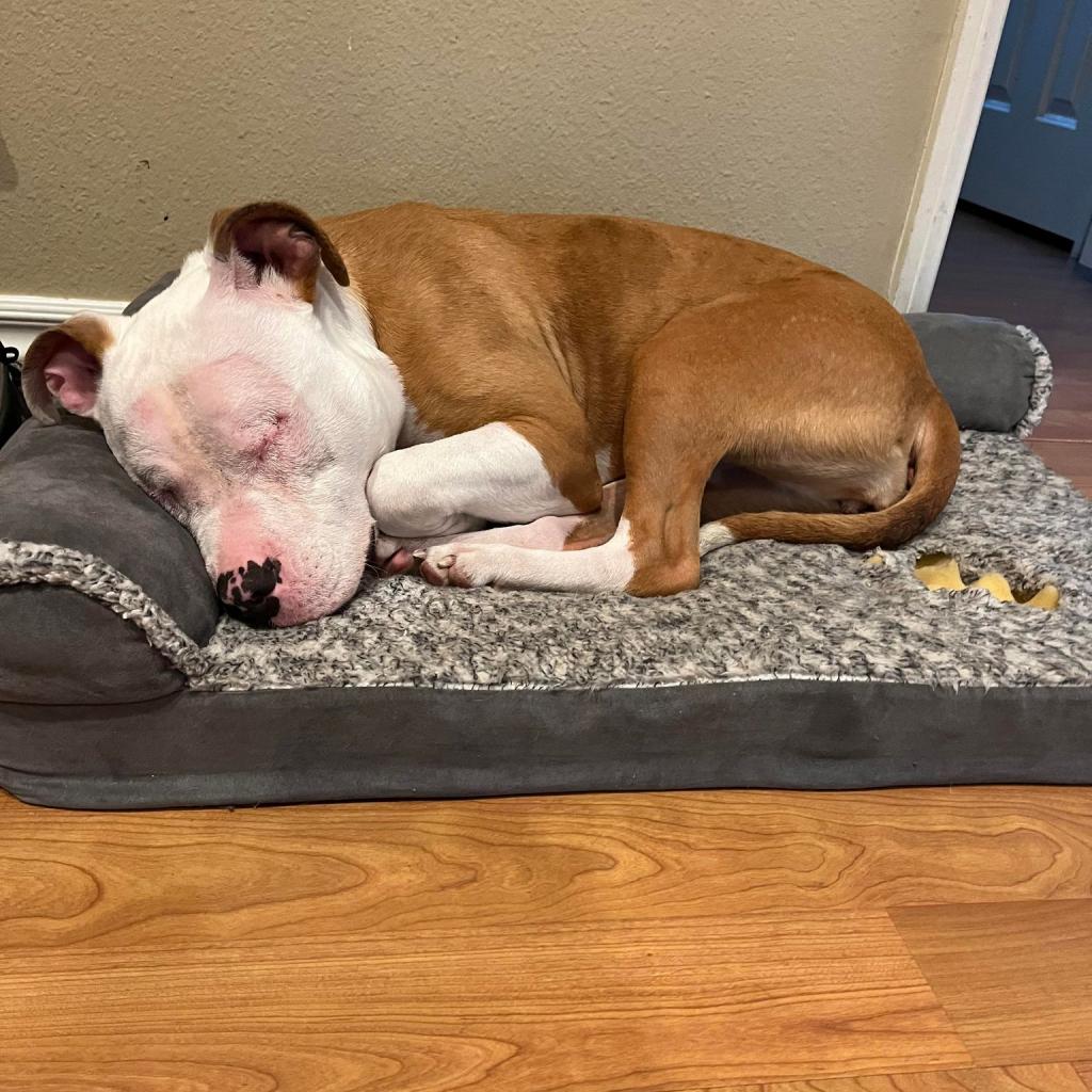 Lara sleeping in her bed
