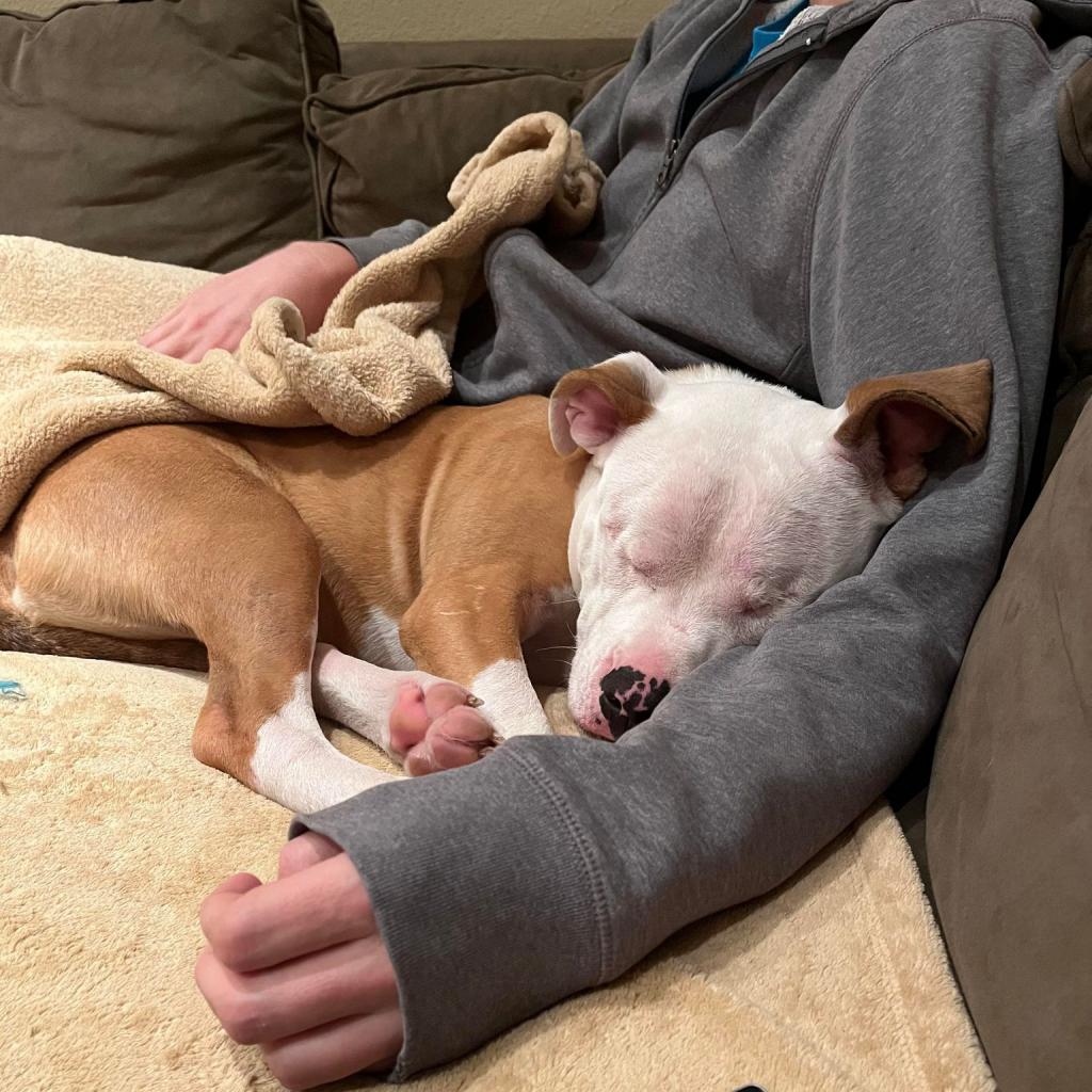 Lara snuggling her foster