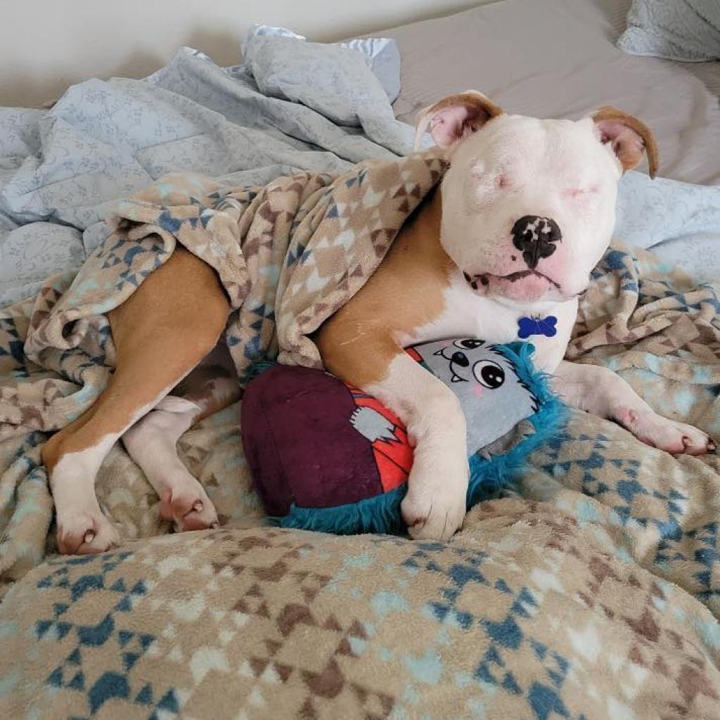 Lara laying in bed with her toy