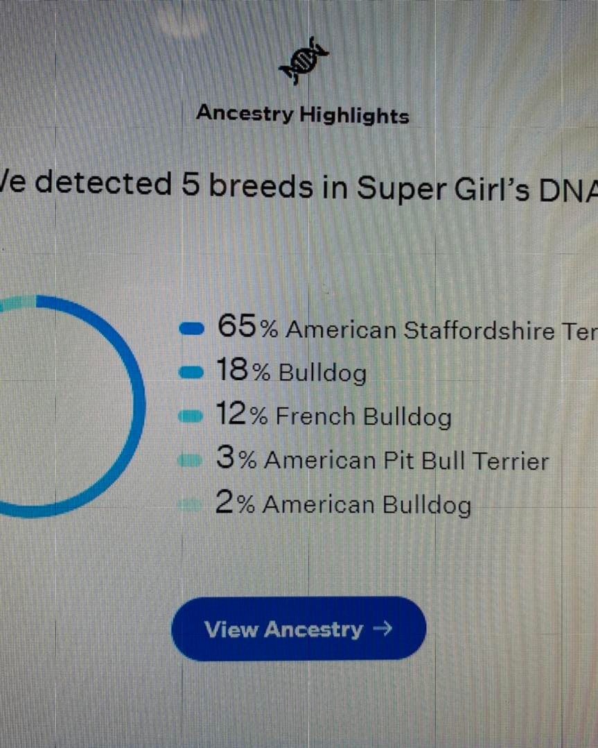 Supergirl's breed makeup