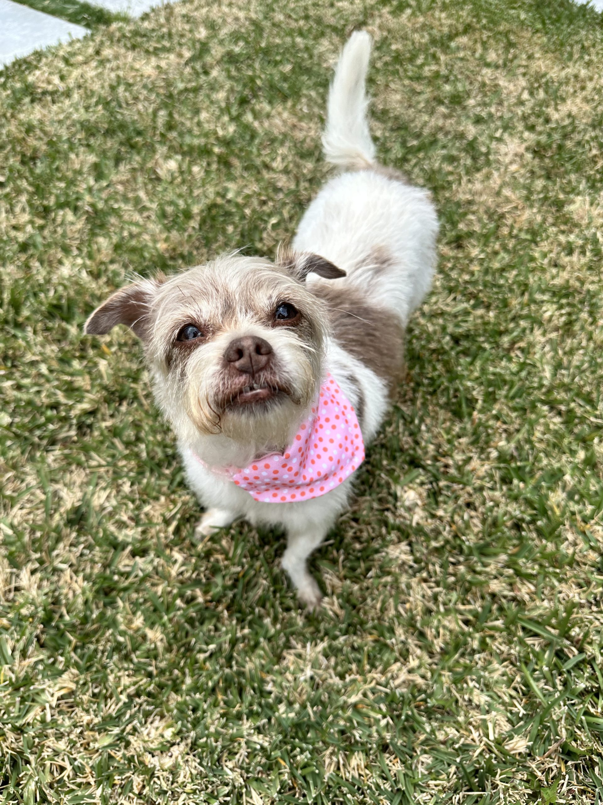 Muñeca looking up at the camera