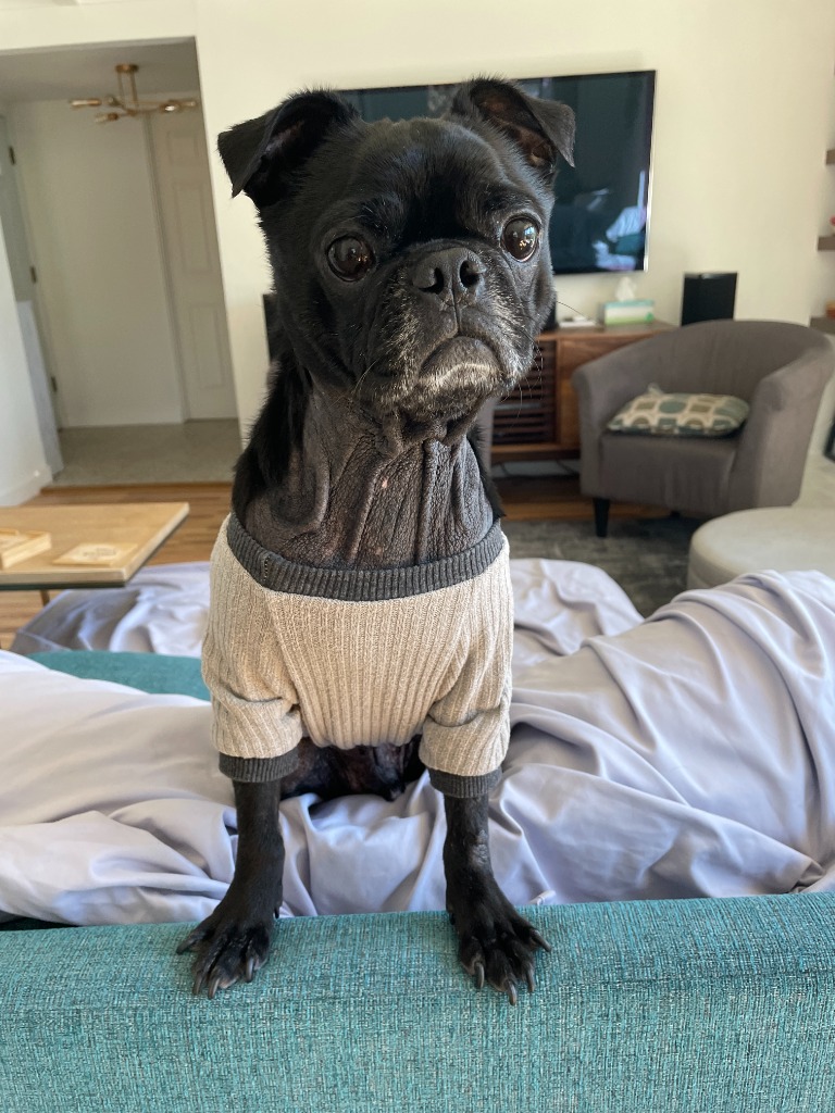 Rift in a sweater