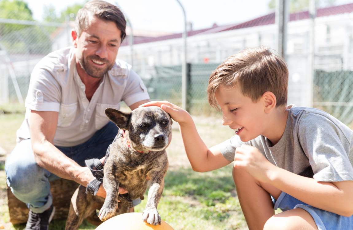 dad and son with a dog