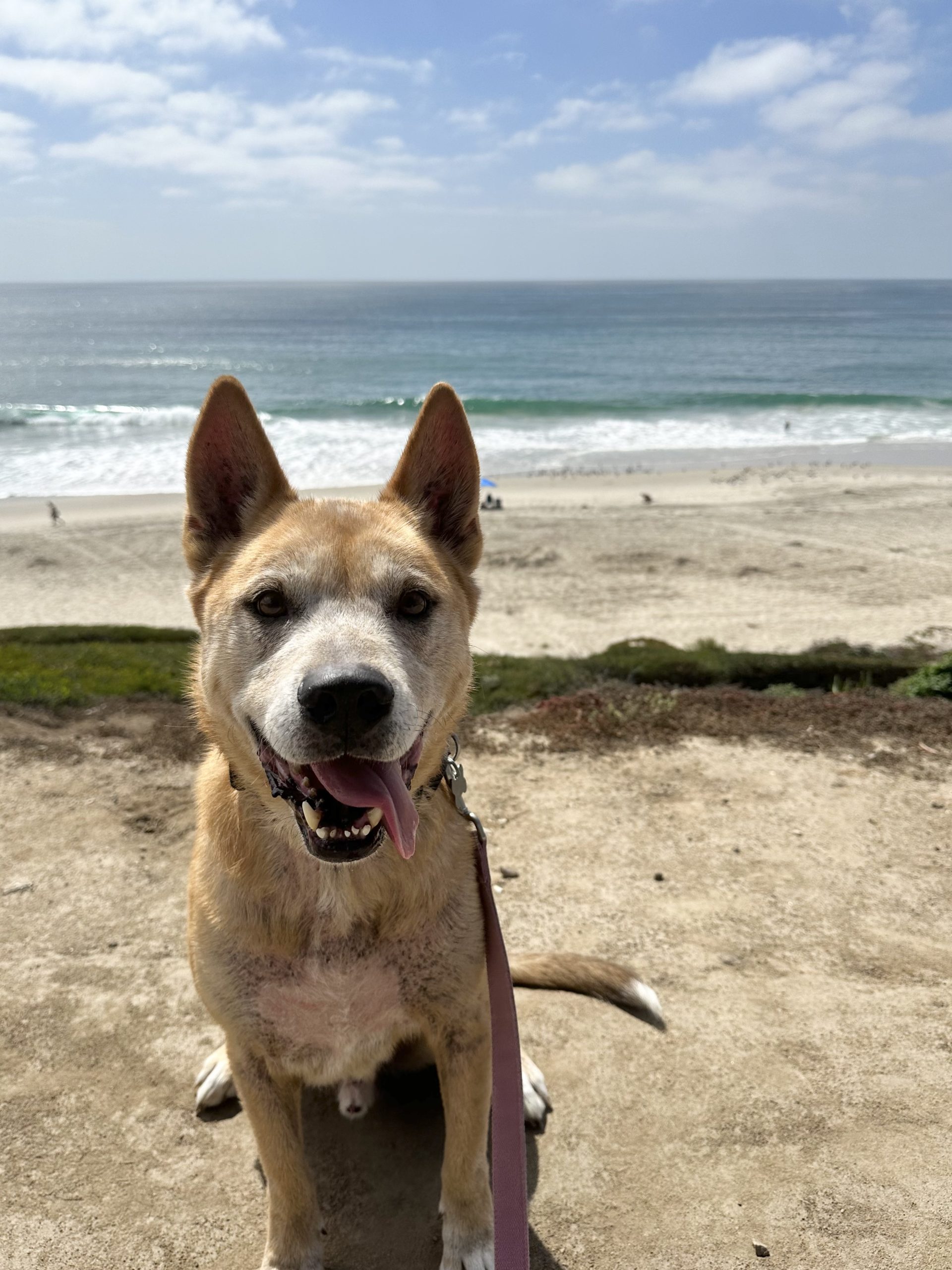 Eddy at the beach