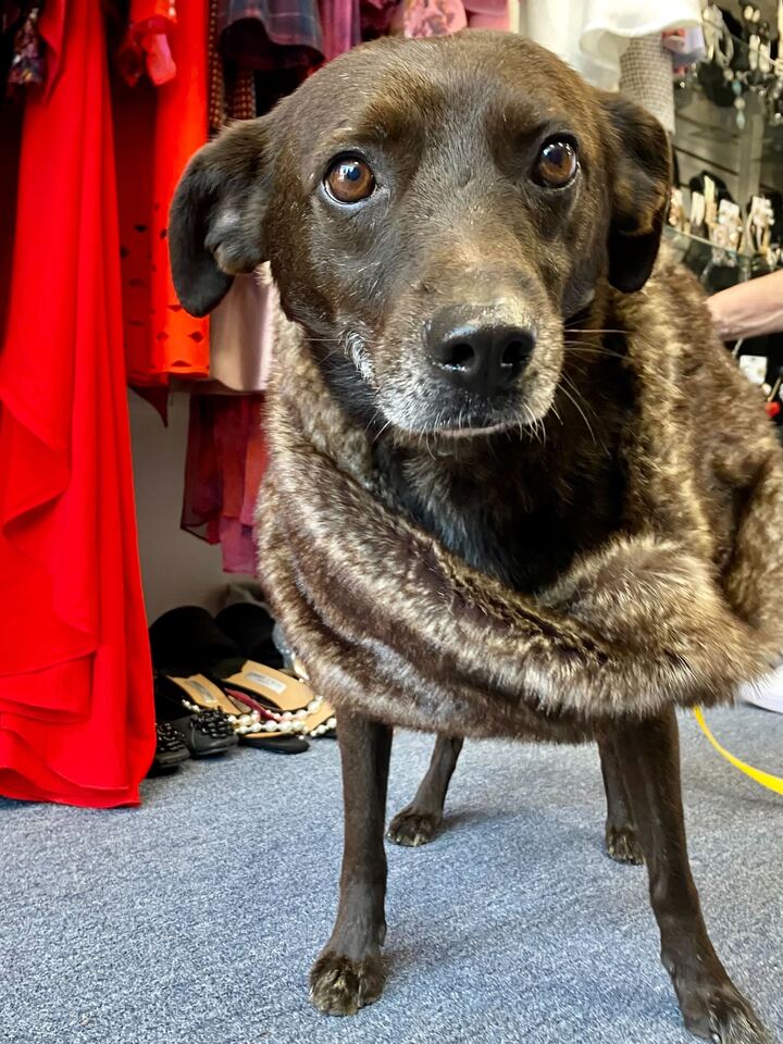 Sergeant wearing a faux fur coat
