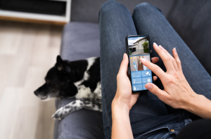 Person laying on couch looking at security camera footage on their phone with dog resting by their feet