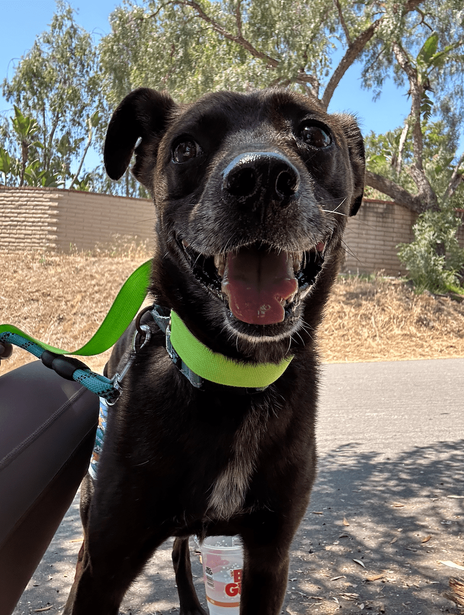 Sergeant on a hike