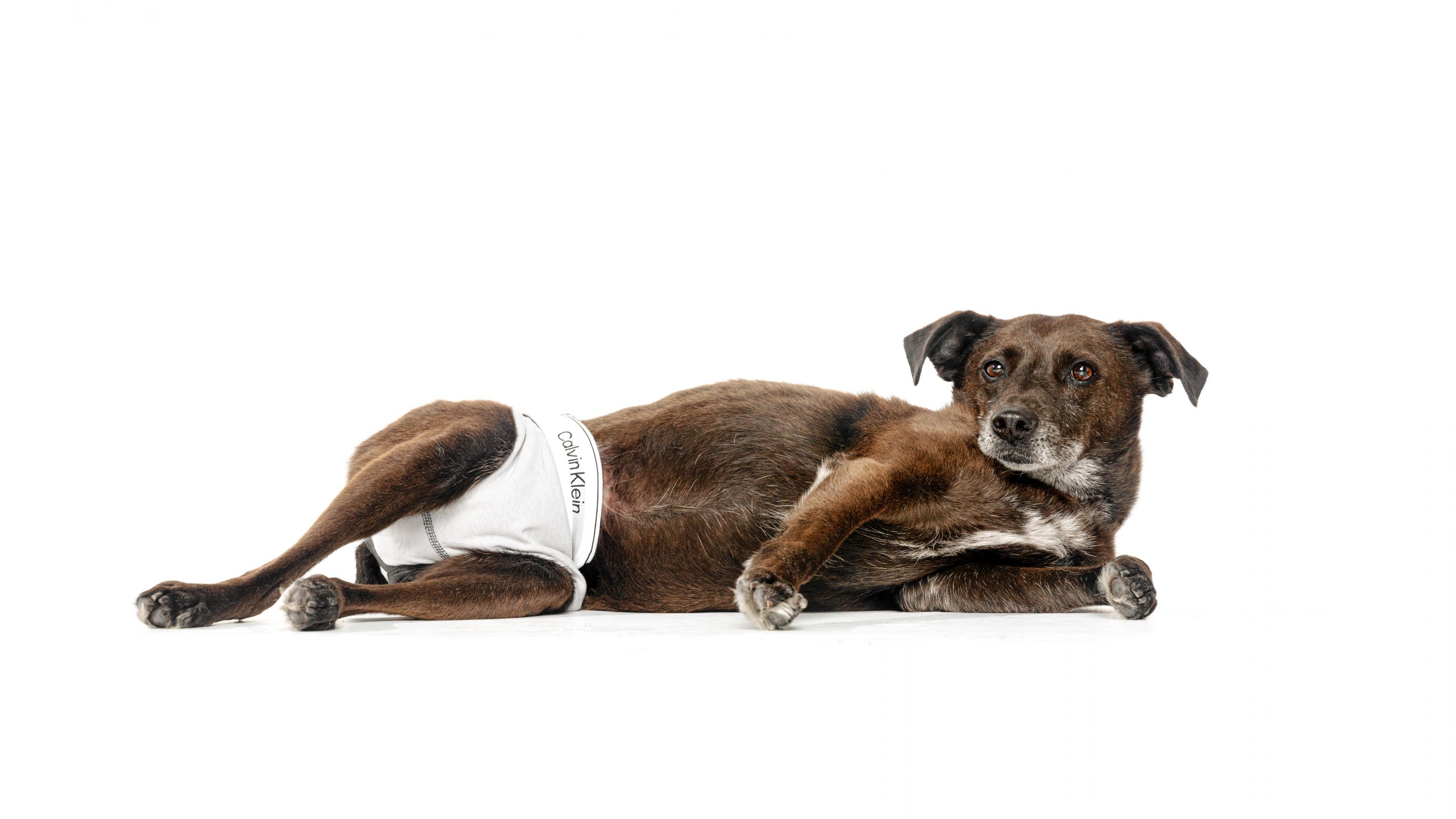 Sergeant laying down in his Calvin Klein underwear