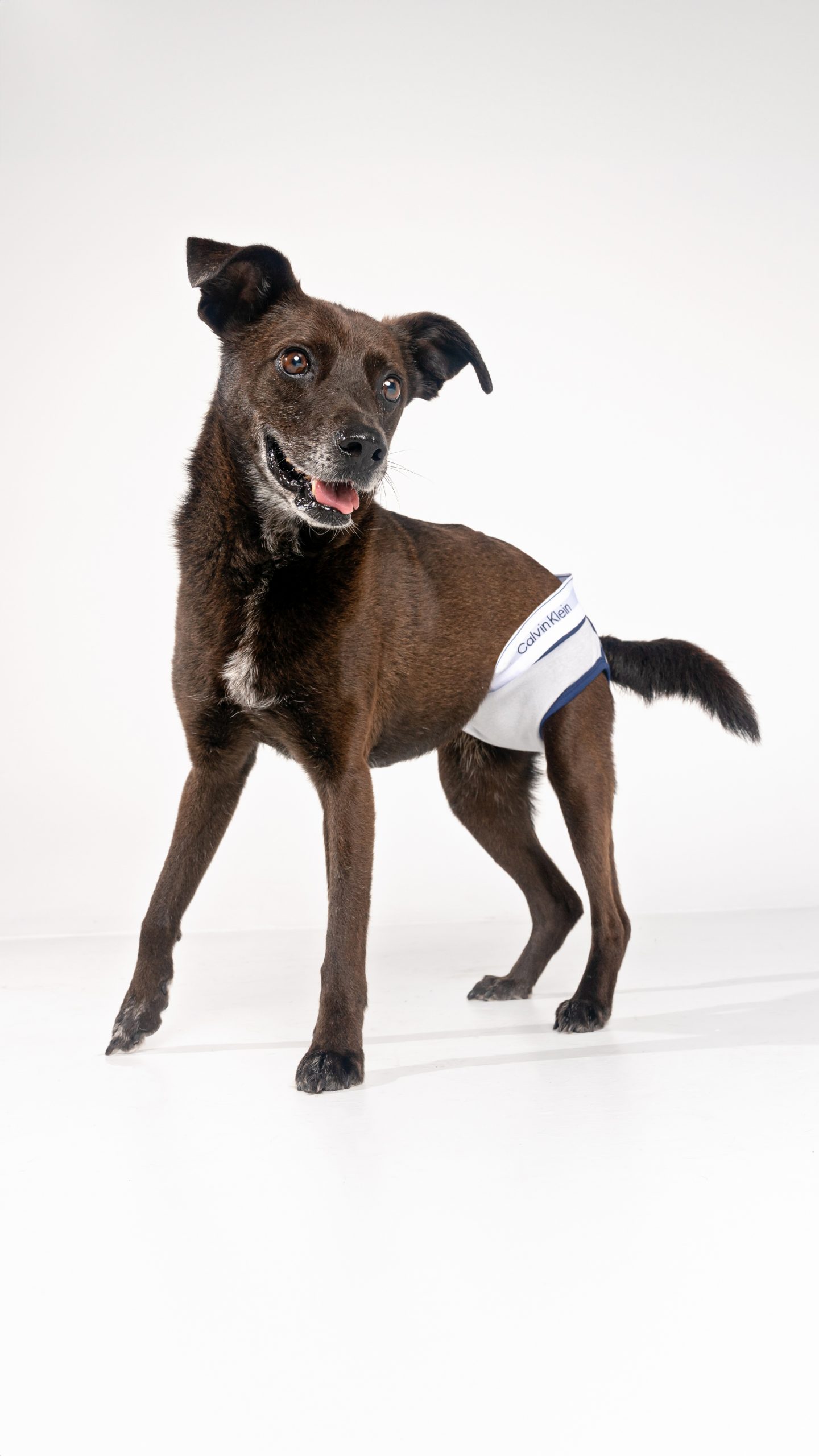 Sergeant posing in his Calvin Klein underwear