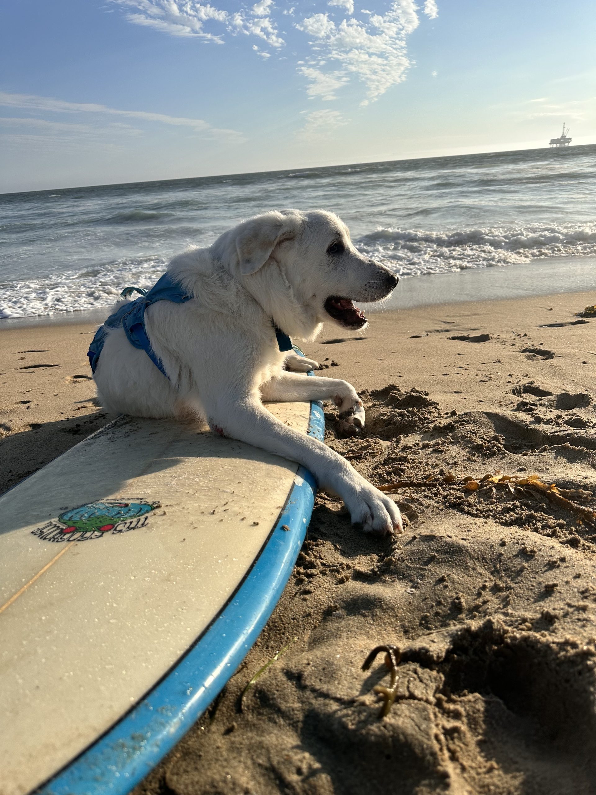 Tyson on a surfboard