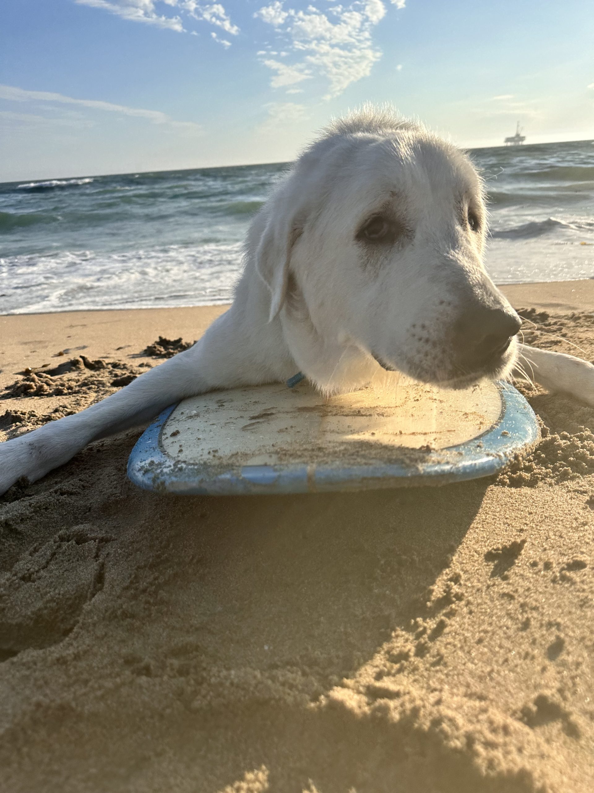 Tyson on a surfboard