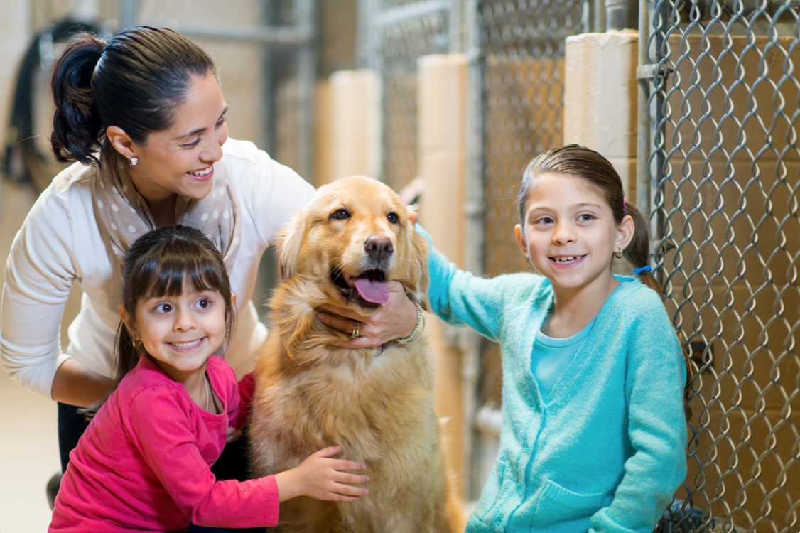 a family adopting a dog from the shelter