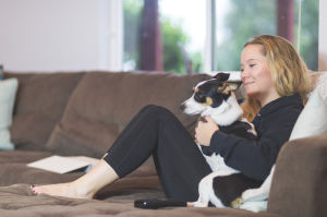 dog watching tv with owner