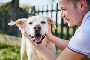 dog with owner 