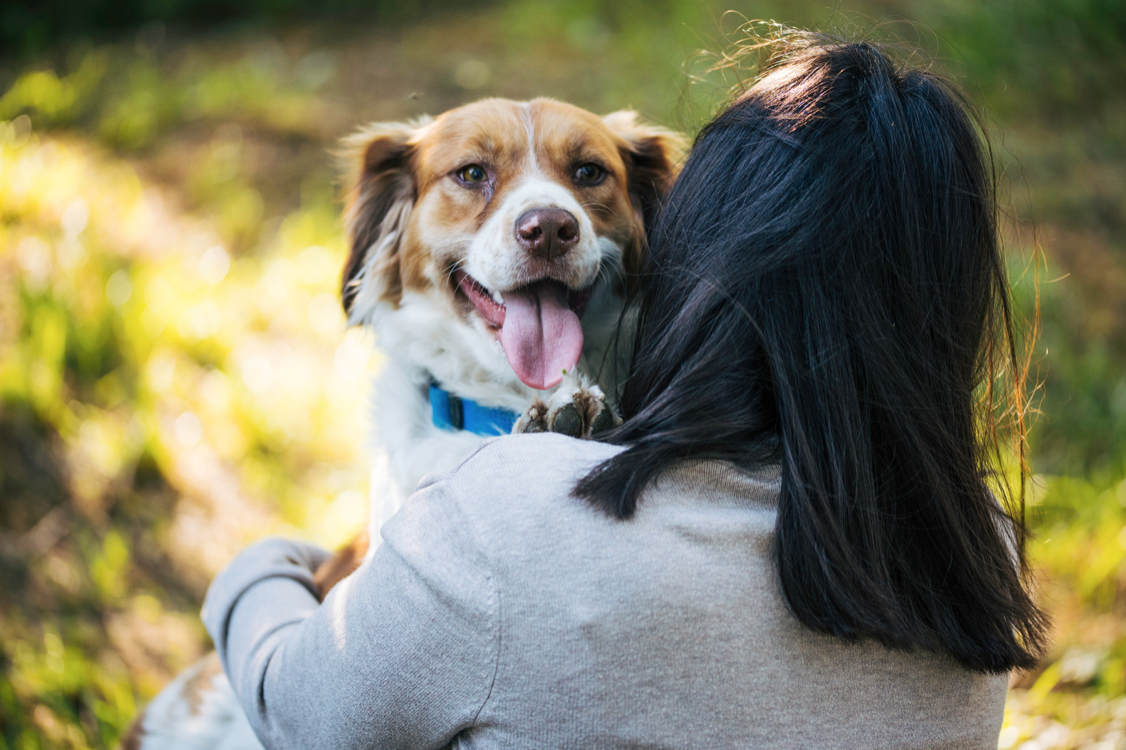 Why You Should Consider Fostering a Dog