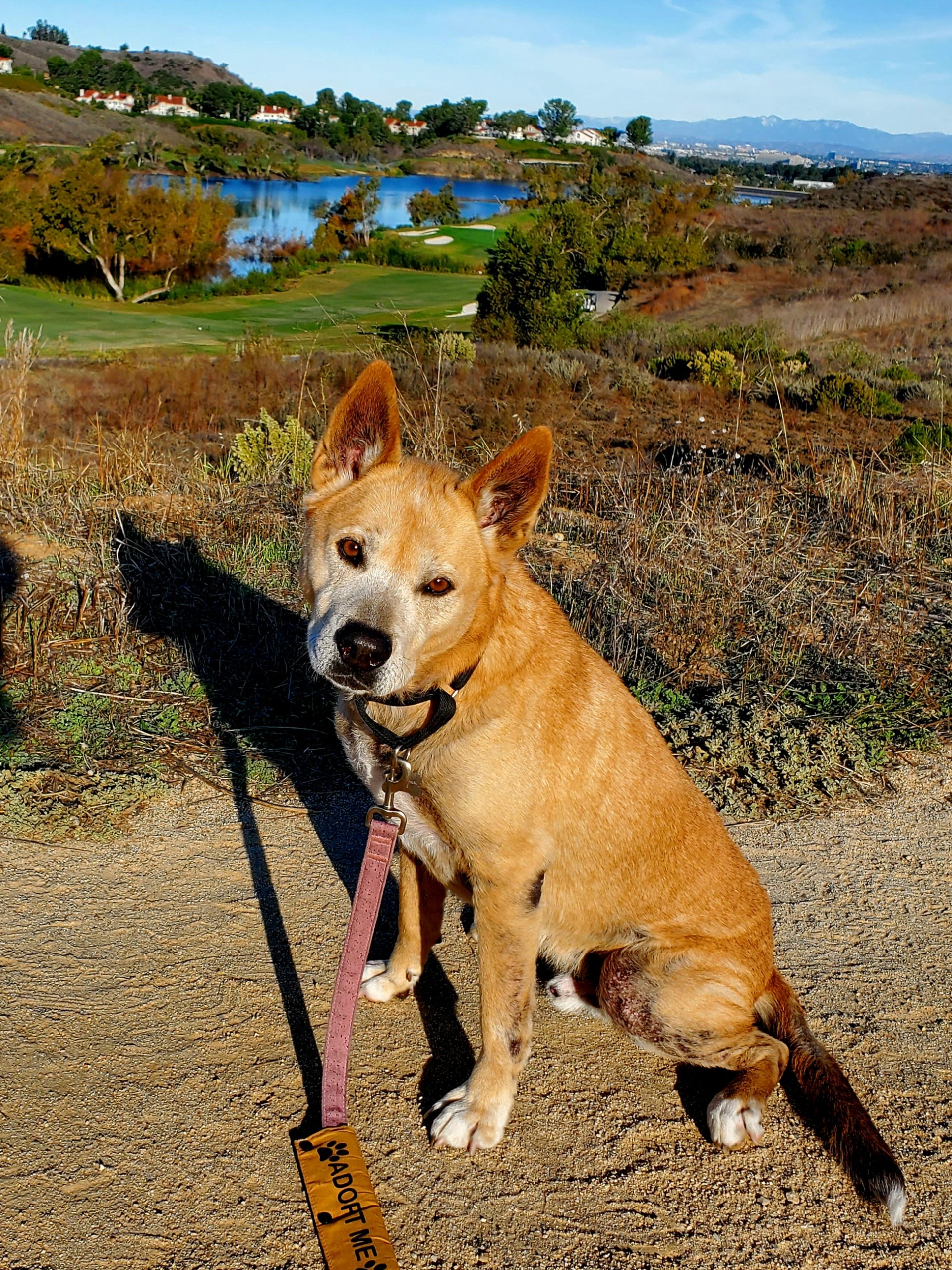 eddy on a nature walk