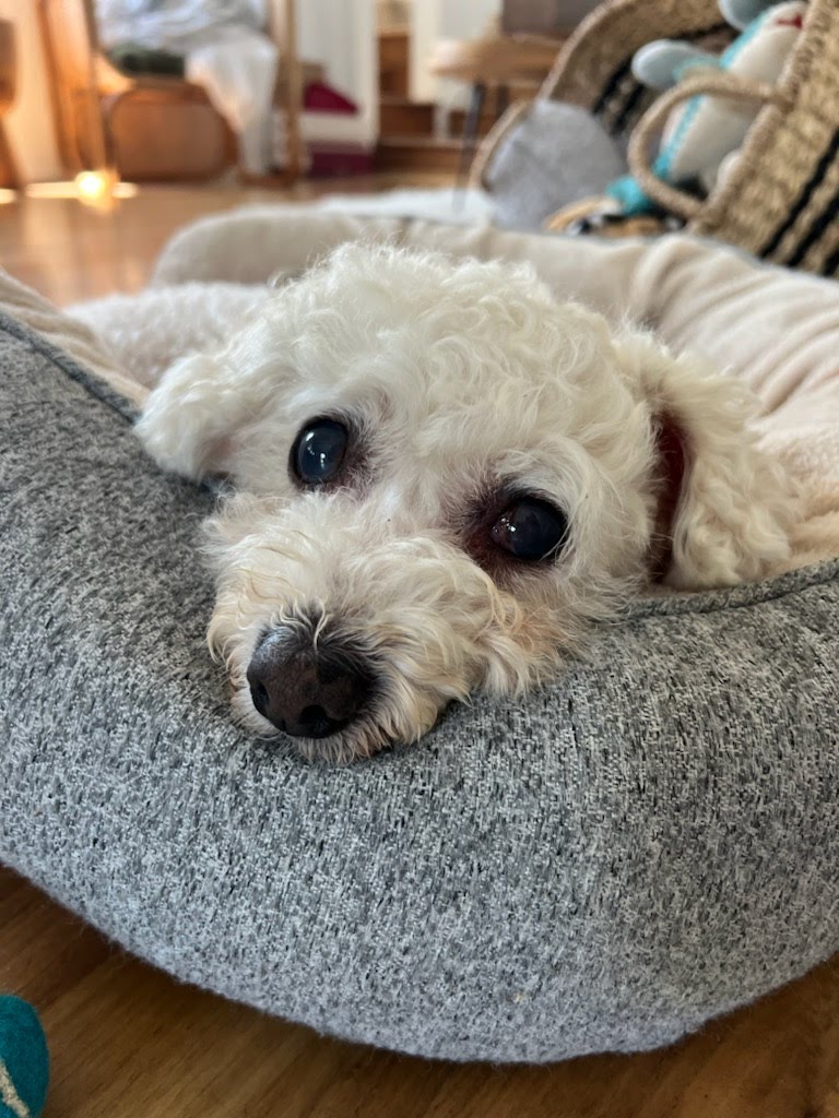 Chloe in bed