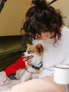 dog in tent