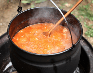 halloween dog-safe stew in cauldron