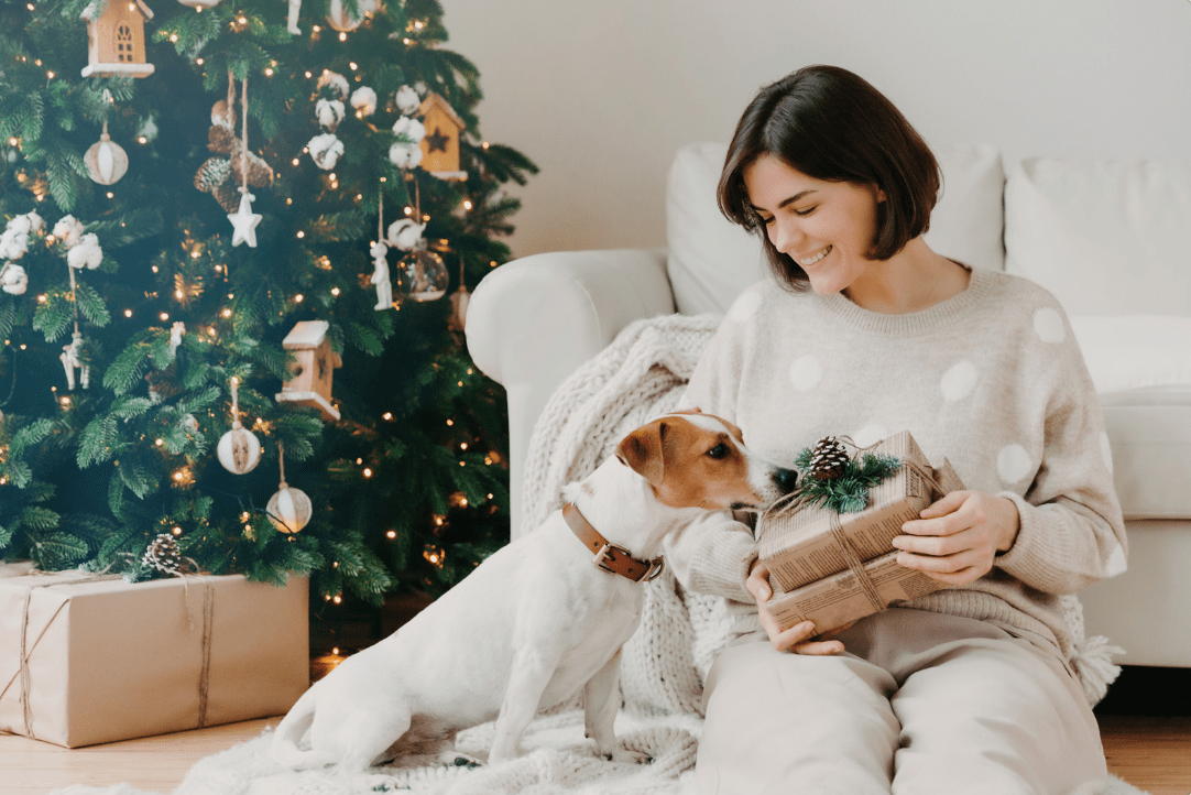 The Best Holiday Presents To Get Your Dog