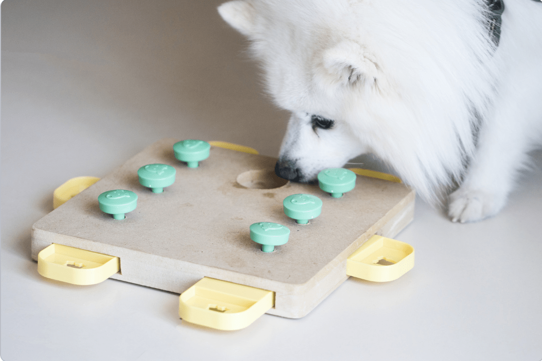 a dog playing with a mental stimulation dog treat game